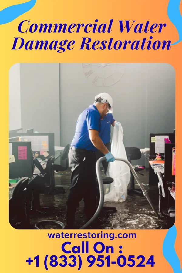 Commercial Water Damage Restoration in Ellijay, GA