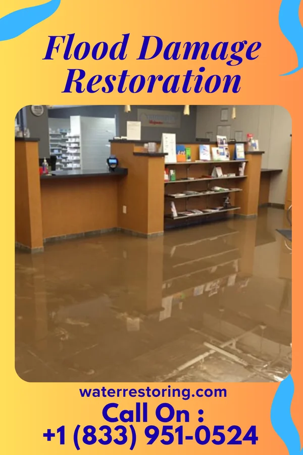 Flood Damage Restoration in Ellijay, GA
